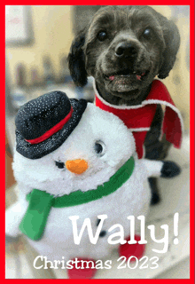 a picture of a dog and a stuffed snowman with wally christmas 2023 written on the bottom