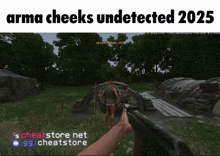 a screenshot of a video game with the words " arma cheeks undetected 2025 "