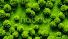 a field of green trees with the word nabbu written on the bottom