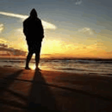 a person is standing on the beach at sunset .