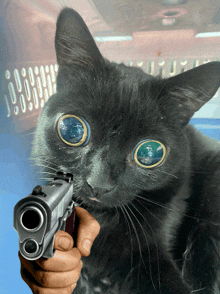 a black cat is pointing a gun at someone