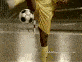 a soccer player kicking a ball with the website www.ronaldinhoto.com visible