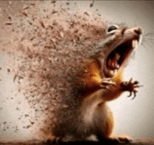 a squirrel with its mouth open is being destroyed by a explosion