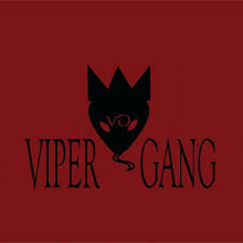 the logo for the viper gang has a black cat with a crown on its face .