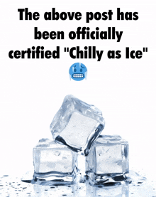 ice cubes stacked on top of each other with the caption " the above post has been officially certified " chilly as ice