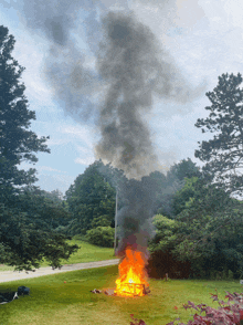 a fire is burning in a grassy field with trees in the background