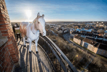 a statue of a horse is standing on a balcony overlooking a city