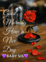 a red rose in a glass dome with the words good morning have a nice day baby sis on it