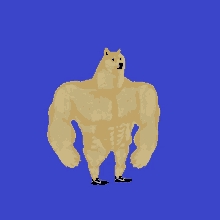 a very muscular dog wearing red nike shoes stands on a blue background