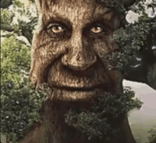 a painting of a tree with a human face and a beard .