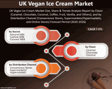 uk vegan ice cream market size share and trends analysis report by flavor caramel chocolate coconut coffee fruit vanilla and others