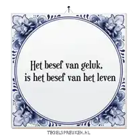 a blue and white tile with the words het besef van geluk is het besef van het leven on it