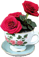 a white cup with red roses on it