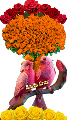 a couple of pink birds sitting on a branch with the name anita cruz