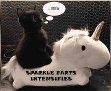 a black cat is sitting on top of a stuffed unicorn