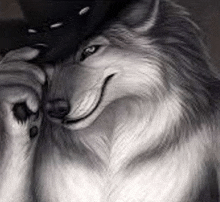 a black and white drawing of a wolf wearing a black hat .