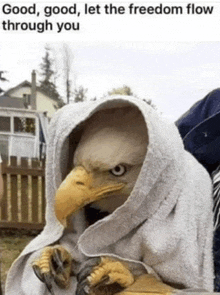 a bald eagle wrapped in a white towel with a caption that says good good let the freedom flow through you