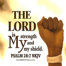 the lord is strength my and my shield psalm 28: 7 nkjv