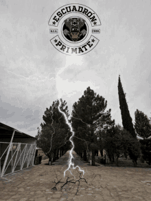 a lightning bolt strikes a row of trees in front of a sign that says escuadron primate