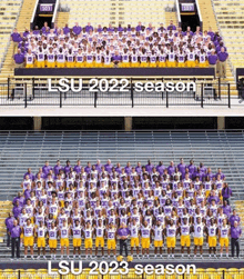 the lsu football team is posing for a team photo