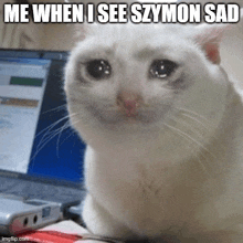 a white cat is sitting in front of a laptop with a caption that says me when i see szymon sad