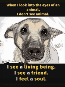 a drawing of a dog with the words when i look into the eyes of an animal i don t see animal