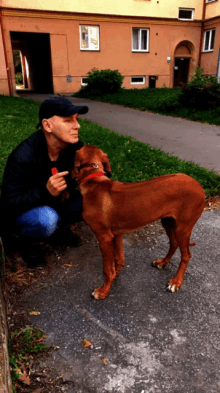 a man kneeling down next to a brown dog holding a stick