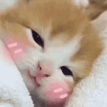 a close up of a cat laying on a blanket with its tongue out .