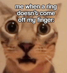 a close up of a cat with a caption that says me when a ring does n't come off my finger