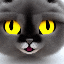 a close up of a gray cat with yellow eyes