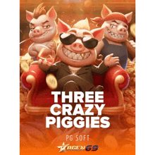 an advertisement for three crazy pigs pg soft