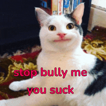 a cat is sitting on a rug with the words stop bully me you suck written on it