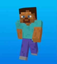 a minecraft character with a blue shirt and purple jeans