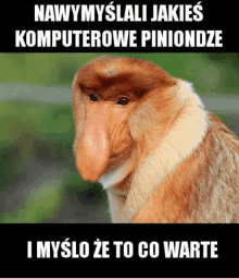 a picture of a monkey with a large nose and the words nawymyslali jakies komputerowe piniondze