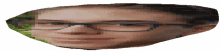 a pixelated image of a man 's face with glasses