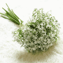 a bouquet of baby 's breath flowers on a white carpet