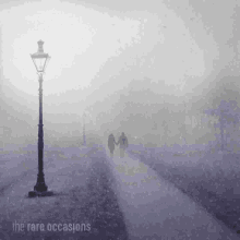 a couple walking down a path in the fog holding hands .