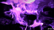 purple flames are coming out of a black hole