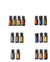 bottles of doterra essential oils are lined up in rows