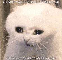 a white cat with a caption that says me when fuzzyplop does not announce