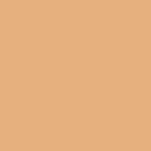 a close up of a tan background with no texture .