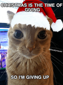 a cat wearing a santa hat says christmas is the time of giving