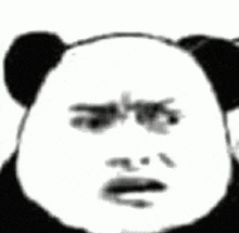 a black and white photo of a panda bear 's face making a funny face .