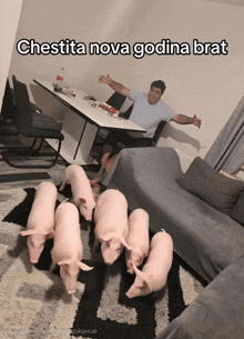 a group of pigs are walking in a living room with a man sitting at a table in the background