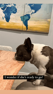 a dog laying on a table with the words " i wonder if she 's ready to go " underneath it