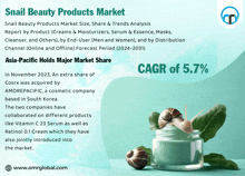 an advertisement for snail beauty products market shows a jar of cream and snail shells