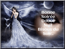 a picture of a woman in a blue dress with the words bonne soirée douce nuit bisous du soir