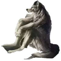 a drawing of a wolf sitting on a white surface