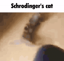 a picture of a cat with the words schrodinger 's cat written above it