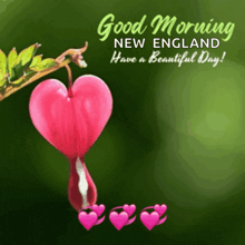 a heart shaped flower with the words good morning new england have a beautiful day on it